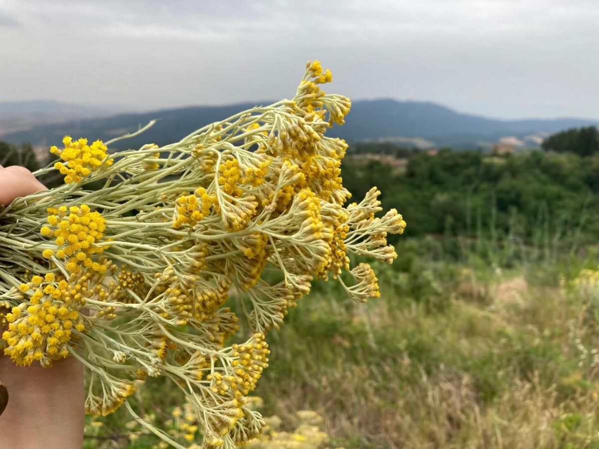 Piccola casa toscana con vista mozzafiato ed idromassaggio Podere Cordicella Esterno foto